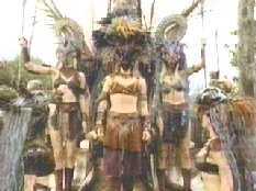 I can't see a darn thing with this bird head on.