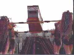 Do you want a leg...or a breast?