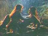 There once was a pair near Amphipolis,