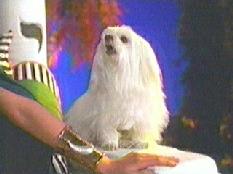 And quit calling me 'Toto!'