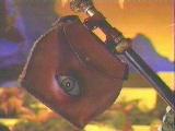 Eye see you!
