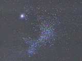 The little known 'fish' constellation is located near the even lesser
known 'penguin' constellation.