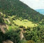 This month in National Geographicus