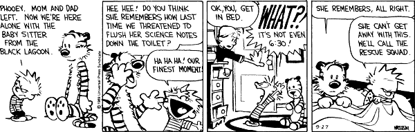 The meaning of life lies in understanding Hobbes' existence