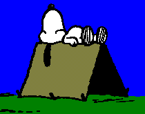 A pup tent.
