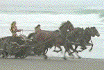 Xena pulls Callisto over for riding in the chariot pool lane without a 
passenger