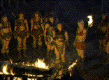 Who brought the marshmallows?