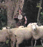 Hey, make up your minds where you're going!  What are you, a bunch of sheep?