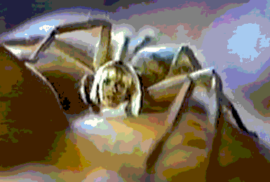 Hellllllp Meeeeeeeeee!