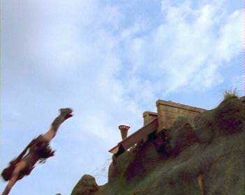 Xena never learned to look before leaping.