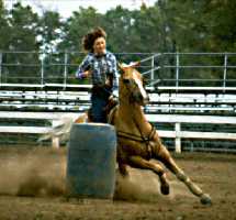 Training for Niagara Falls
