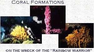 Don't let Gabrielle eat the decorative coral
