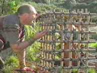 Hey! You haven't even put down any newspaper or given me any chew toys!