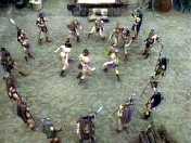 Amazons practice their anti-cockroach dance