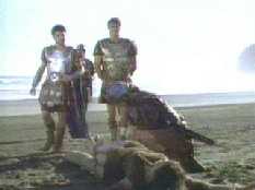 You help put the 'brut' in 'brutal', Brutus!