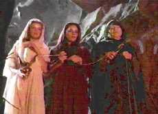 Who you gonna call?  Rugbusters!