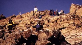 Last one up's a rotten egg