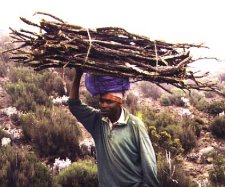 If carrying a book on your head is good for your posture, imagine how good THIS will be
