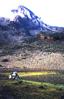 It's either this or wait until you can eat the snow up there.