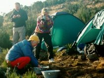 You all are being a BIG help