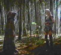 Shouldn't you be pestering Luke Skywalker or something?