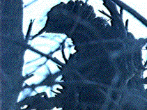 That reminds me... toothpick?