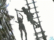 When a friendly game of 'Queen of the Mountain' gets ugly