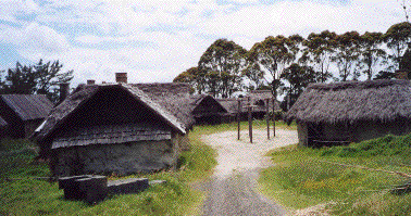 I knew I should have turned left back there!