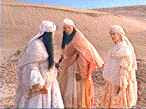 Watch where you're stepping!  I just had that cleaned!