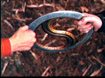 Um, perhaps if you grabbed it instead of the air 
next to it?