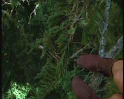 Another little-known fact: XWP was nominated for an Emmy for Most Creative Use of Spinach. It lost. To Deep Space Nine.