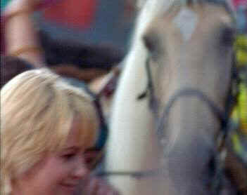 A horse is a horse, of course, of course...