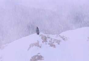 Xena gives the cold shoulder to the nth degree